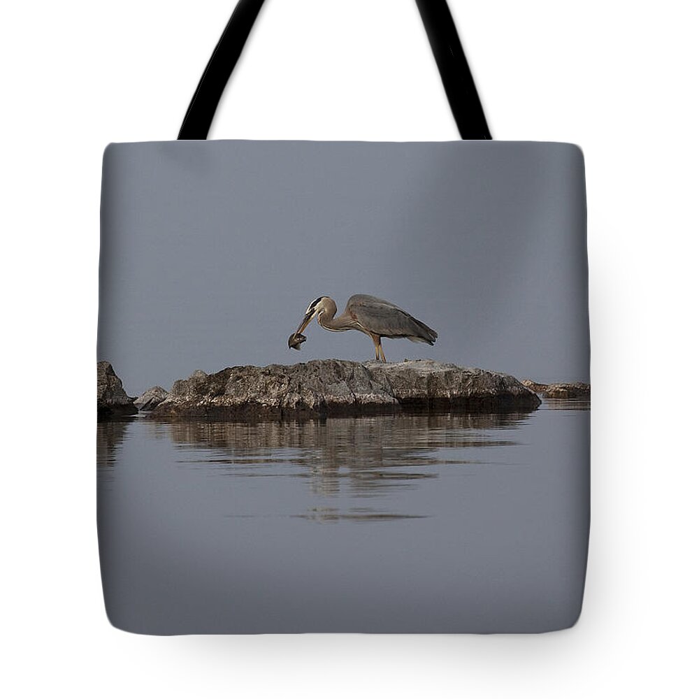Bird Tote Bag featuring the photograph Caught One by Eunice Gibb