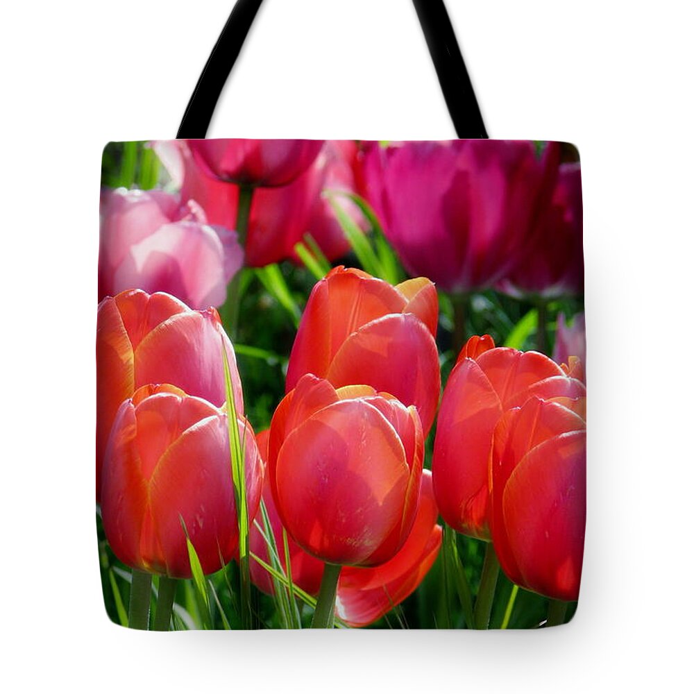 Tulips Tote Bag featuring the photograph Celebration by Rory Siegel