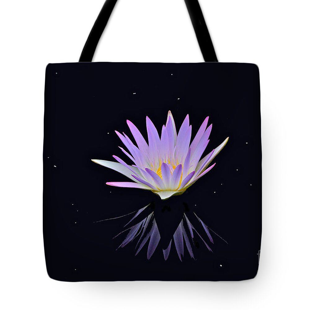Lavender Tropical Waterlily Tote Bag featuring the photograph Celestial Waterlily by Byron Varvarigos