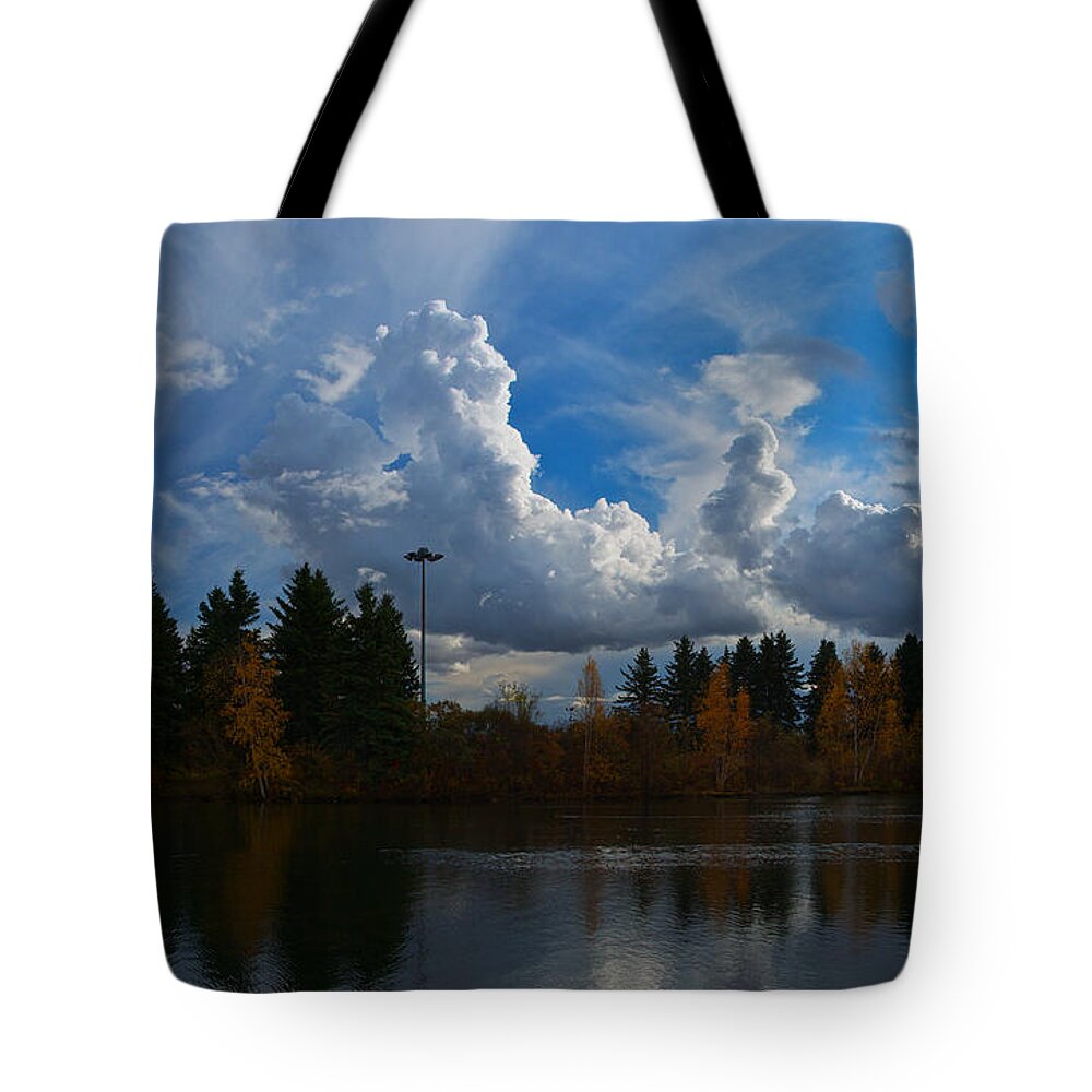 Panorama Tote Bag featuring the photograph Central Pond Hawrelak Park Edmonton by David Kleinsasser