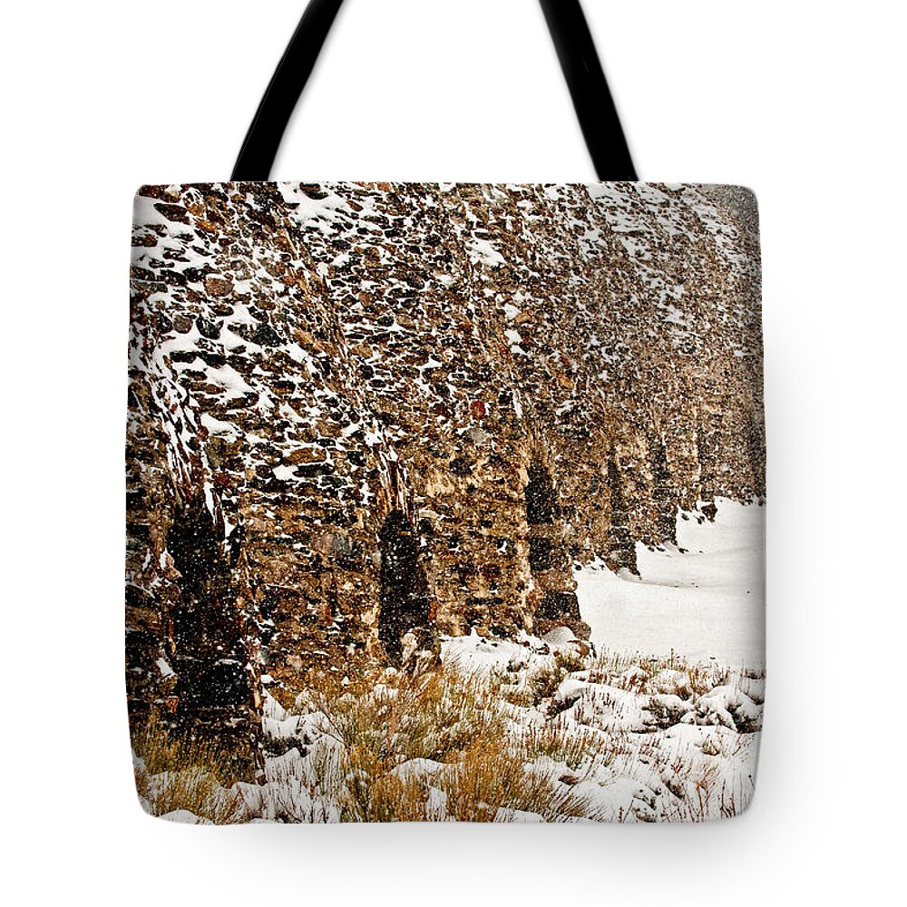 Charcoal Kilns Tote Bag featuring the photograph Death Valley Kilns During April Snowstorm by Stephanie Salter
