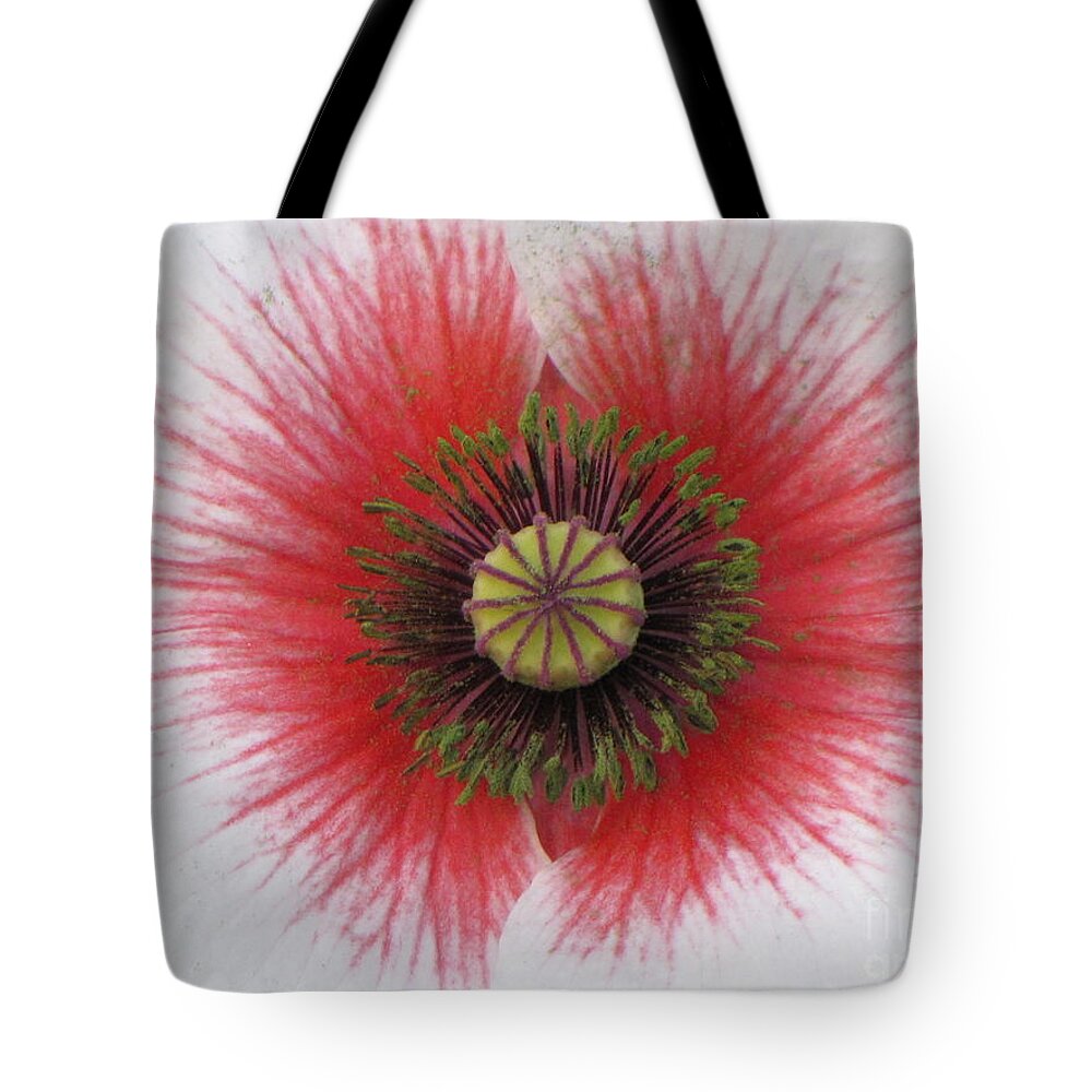 Poppy Tote Bag featuring the photograph Charisma by Michele Penner