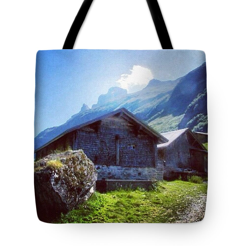 Swiss Cheese Tote Bags