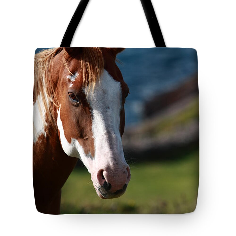 Horse Tote Bag featuring the photograph Chestnut Mare by Aidan Moran