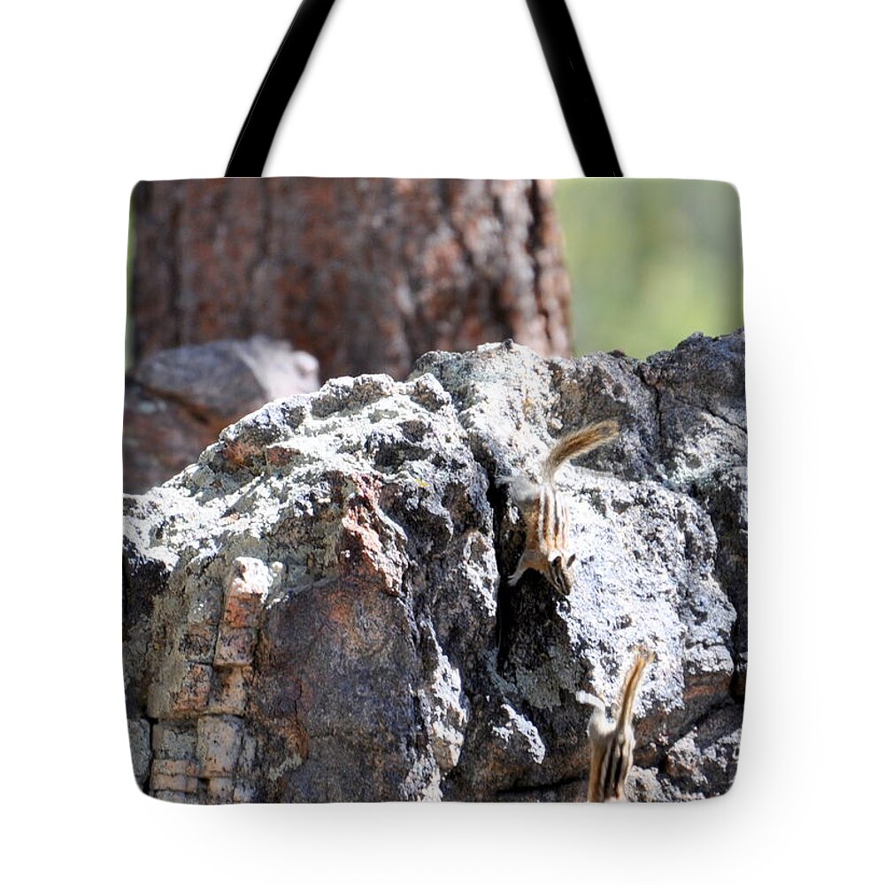 Chipmunk Tote Bag featuring the photograph Chip n' Dale by Dorrene BrownButterfield