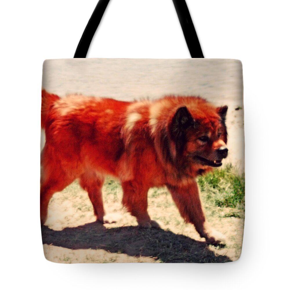 Animal Tote Bag featuring the digital art Chow Chow by Charles Benavidez