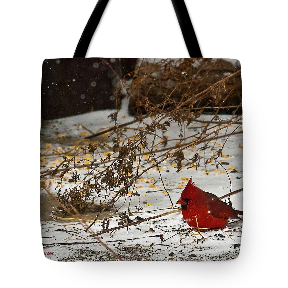 Northern Cardinal Tote Bag featuring the photograph Christmas CardinalThe by Ed Peterson