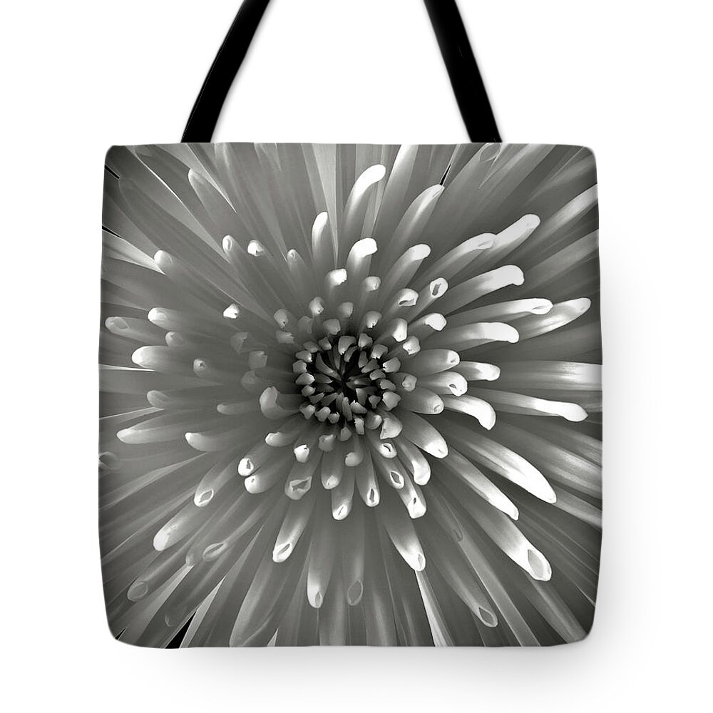 Flower Tote Bag featuring the photograph Chrysanthemum in Black and White by Endre Balogh