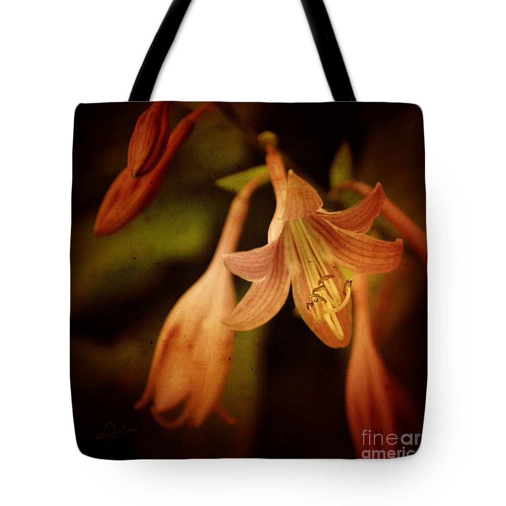 Lily Tote Bag featuring the photograph Cladis 03s by Variance Collections