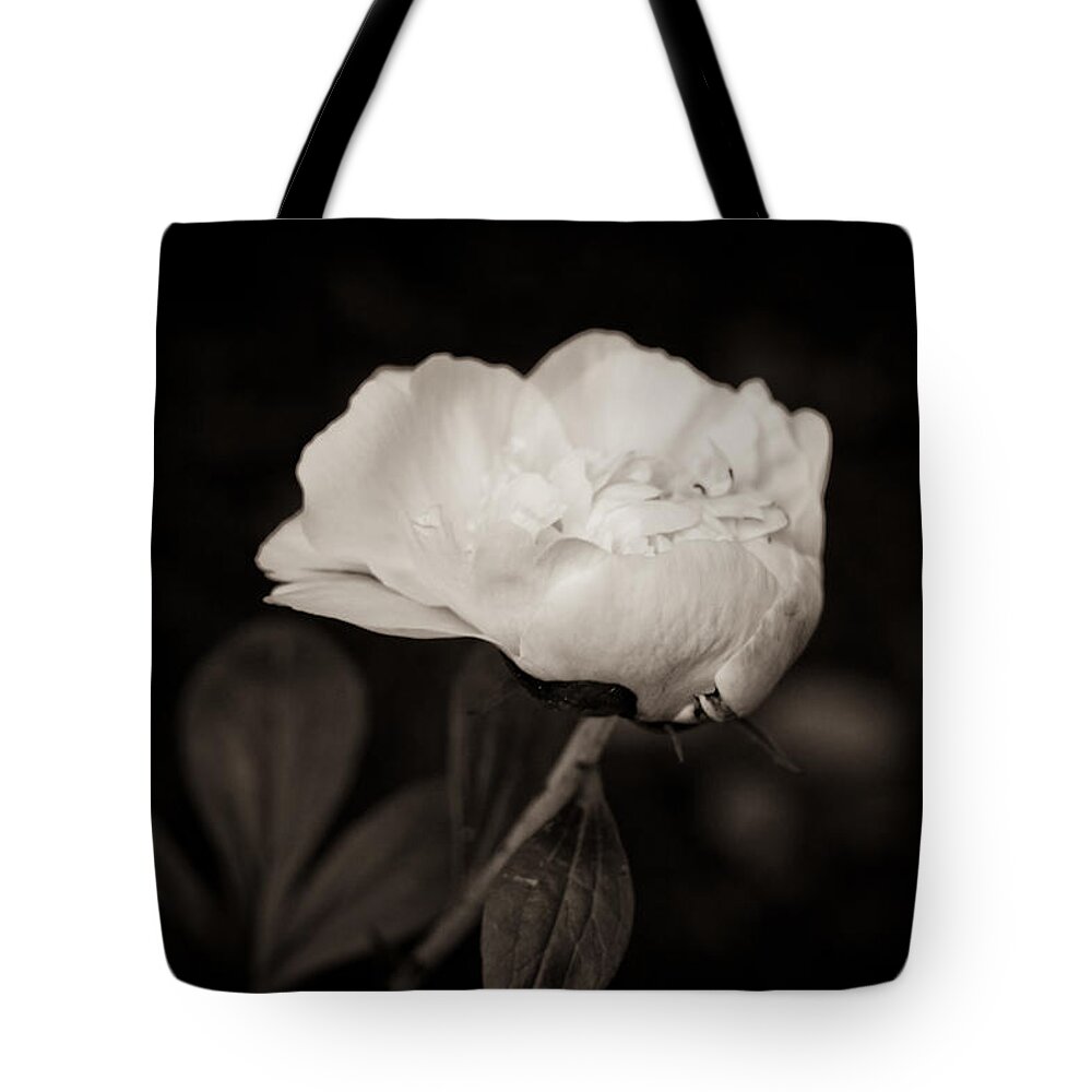 Peony Photo Tote Bag featuring the photograph Classic Peony by Sara Frank