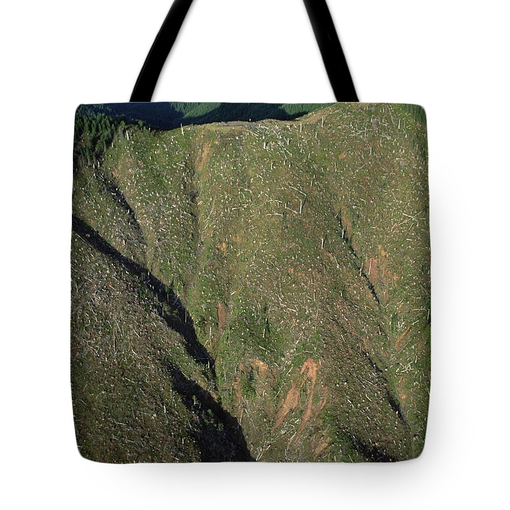 Mp Tote Bag featuring the photograph Clear Cutting, Olympic National Park by Mark Moffett