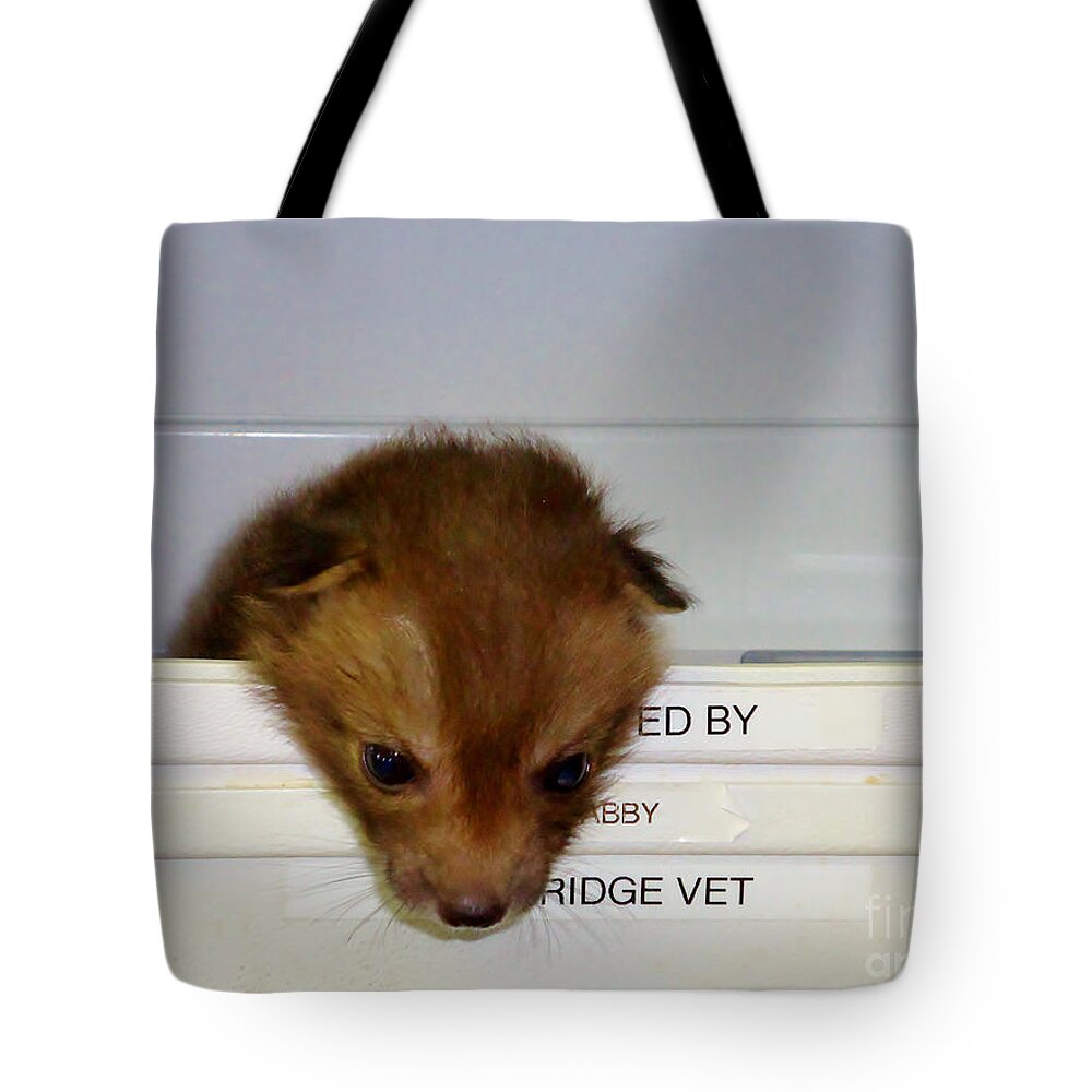 Fox Tote Bag featuring the photograph Cleopatra by Art Dingo