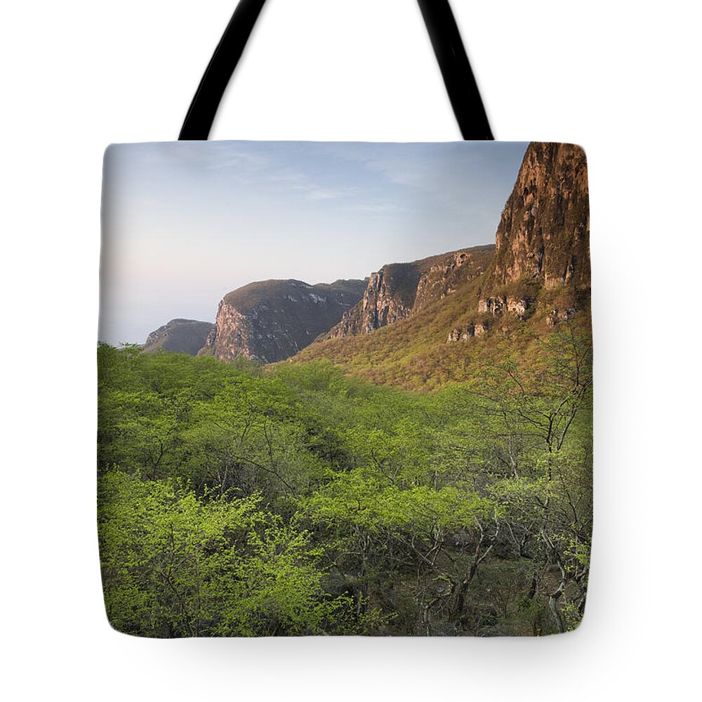 00481413 Tote Bag featuring the photograph Cloud Forest And Sandstone Cliffs Hawf by Sebastian Kennerknecht