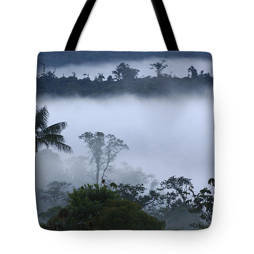 Mp Tote Bag featuring the photograph Cloud Forest Vegetation In Mist by Pete Oxford