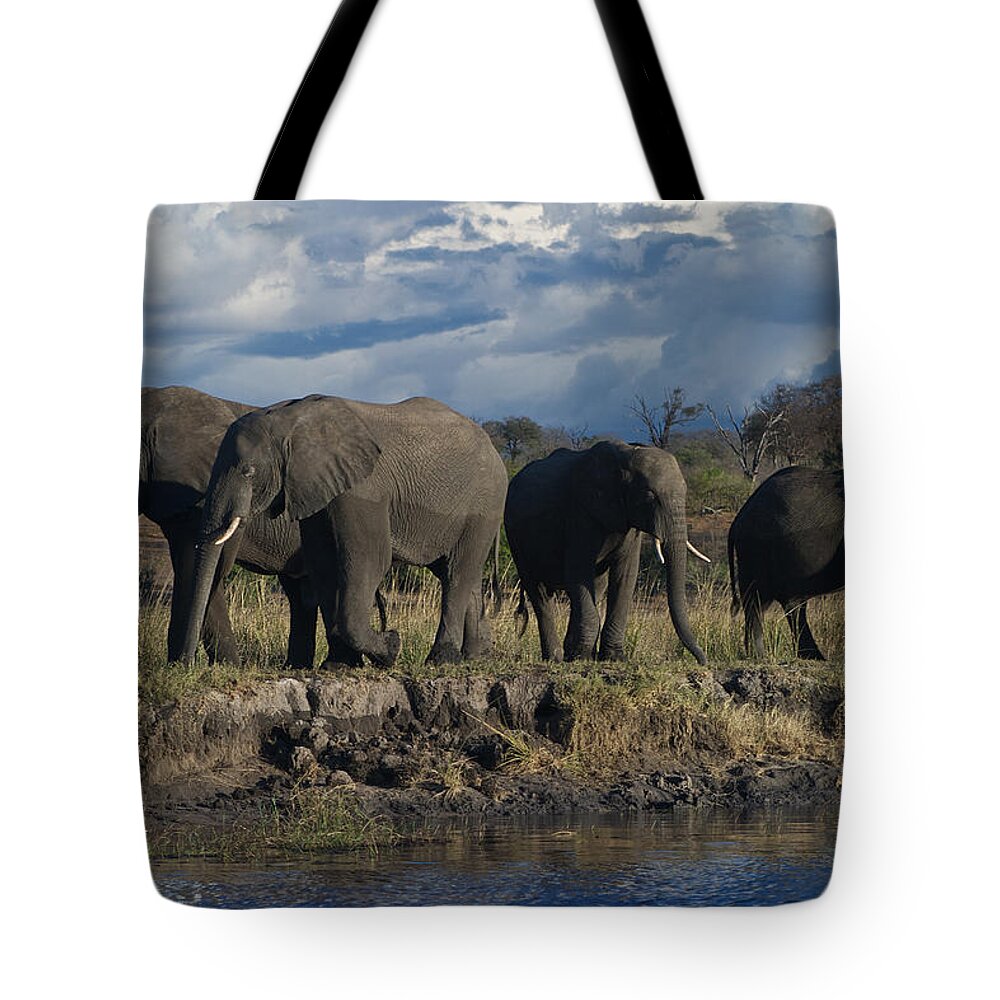 Clouds Tote Bag featuring the photograph Clouds and Elephants by David Kleinsasser