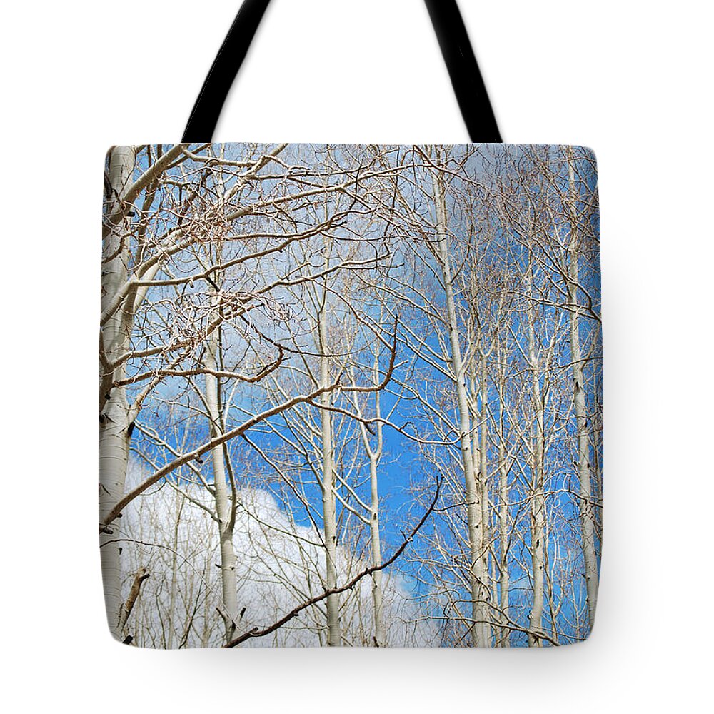Fine Art Tote Bag featuring the photograph Cloudy Aspen Sky by Donna Greene