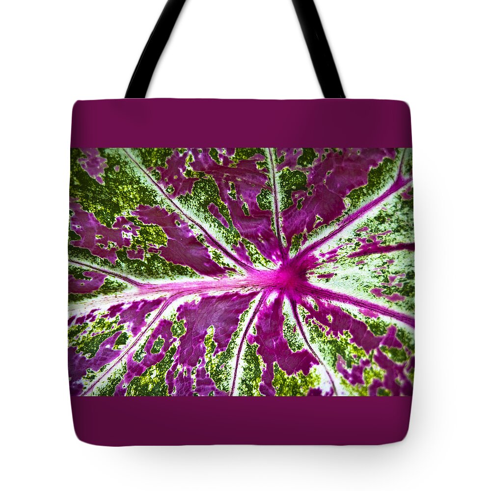 Coleus Tote Bag featuring the photograph Coleus Leaf by Carolyn Marshall