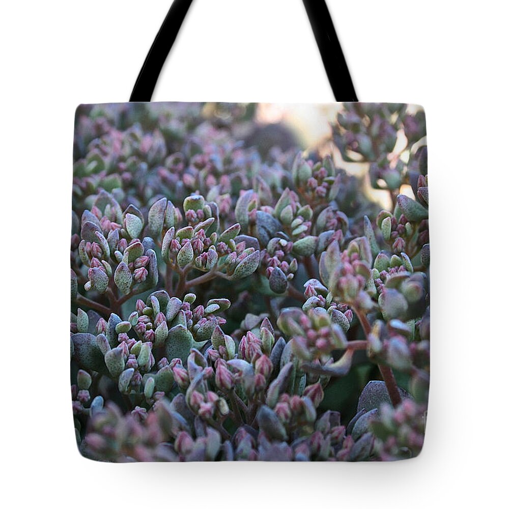 Outdoors Tote Bag featuring the photograph Color Flash by Susan Herber