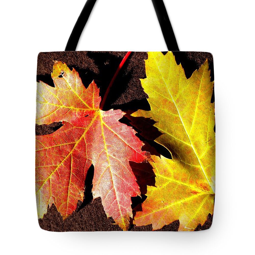 Maple Leaf Tote Bag featuring the photograph Colorful Pair by Renate Wesley