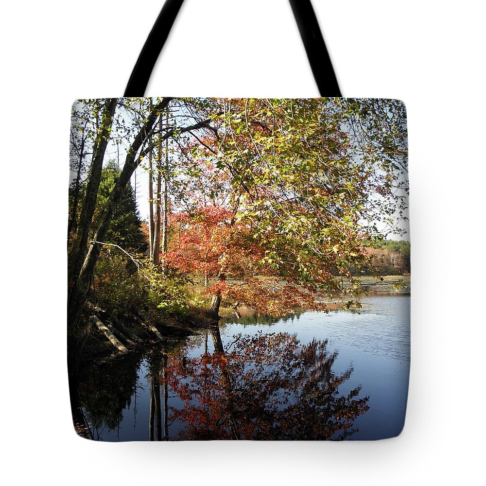 Colors Tote Bag featuring the photograph colors of October by Kim Galluzzo Wozniak