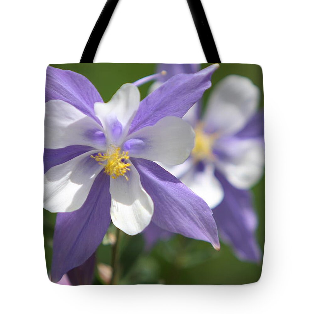 Colorado State Flower Tote Bag featuring the photograph Columbine by Marta Alfred