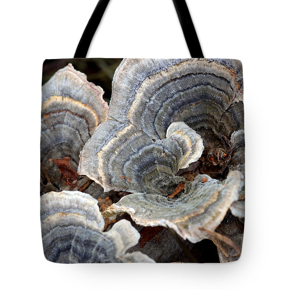 Nature Tote Bag featuring the photograph Concentric by Todd Blanchard