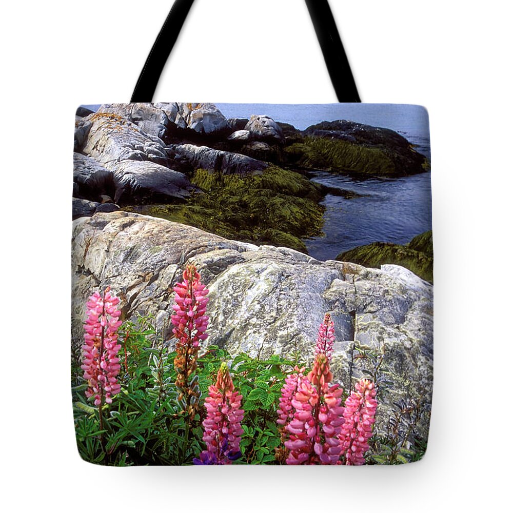 Coquille Lighthouse Tote Bag featuring the photograph Coquille Lighthouse Oregon by Dave Mills