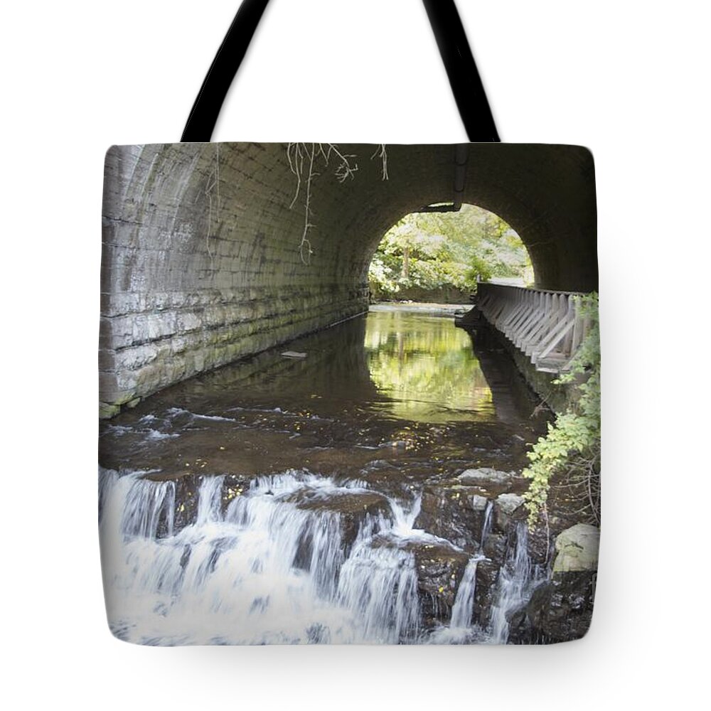  Tote Bag featuring the photograph Corbetts Glen by William Norton
