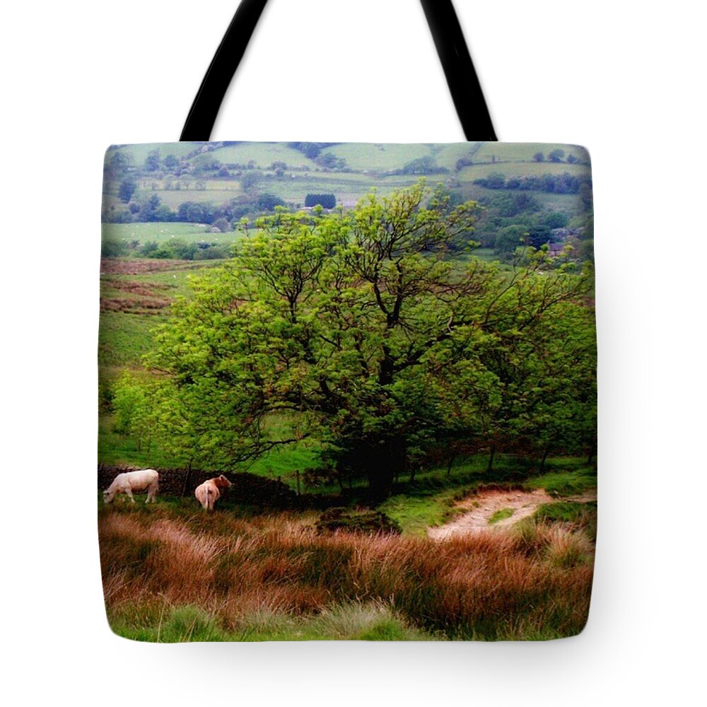 Cow Tote Bag featuring the photograph Country File by Abbie Shores