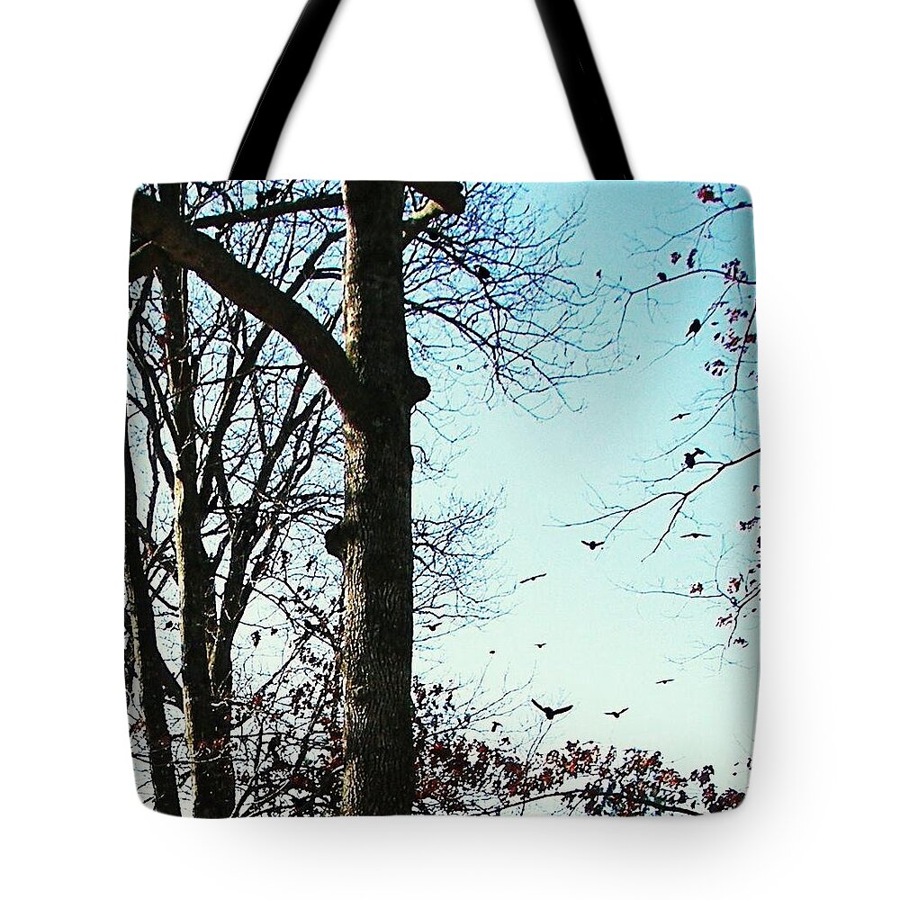 Birds Tote Bag featuring the photograph Crows In For Landing by Pamela Hyde Wilson