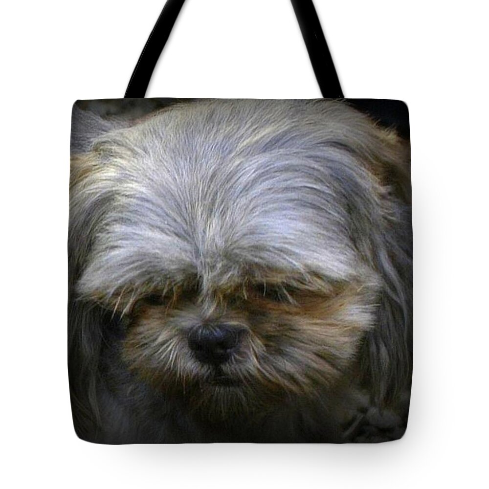Dog Tote Bag featuring the photograph Cuddles by Lori Seaman