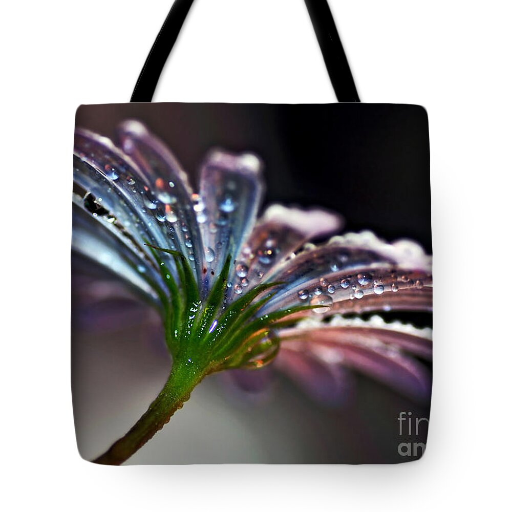 Photography Tote Bag featuring the photograph Daisy Abstract with Droplets by Kaye Menner
