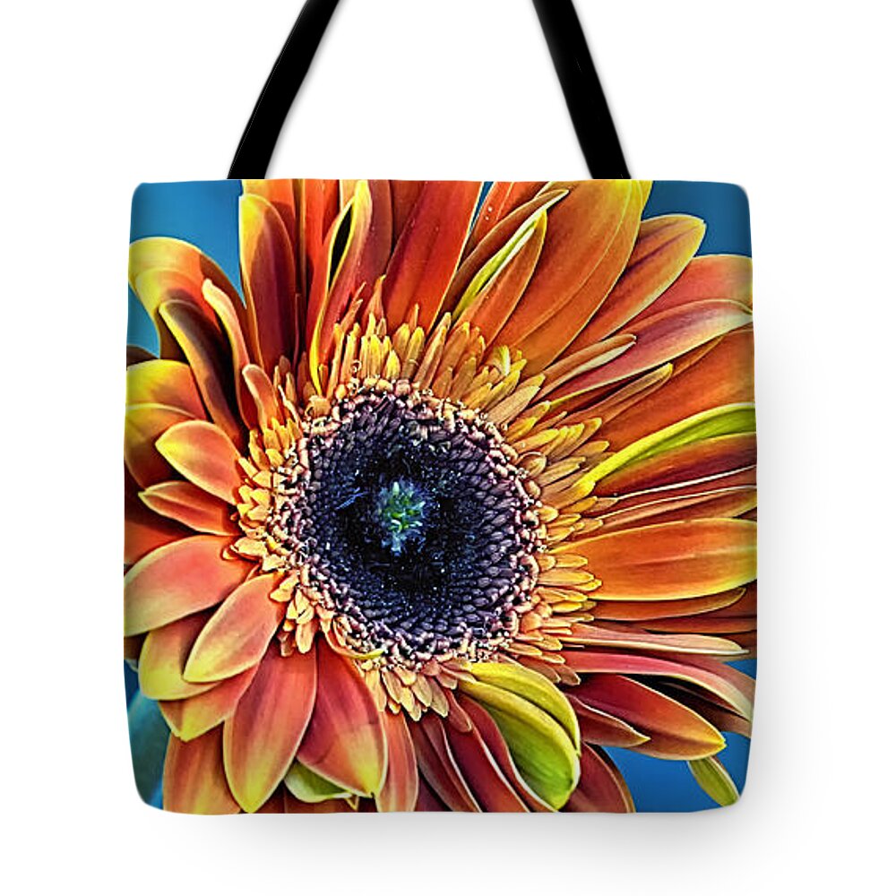 Gerber Daisy Tote Bag featuring the photograph Daisy Dialation by Bill and Linda Tiepelman