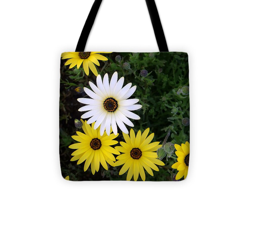  Tote Bag featuring the photograph Dare To Be Different by Desert Serenity