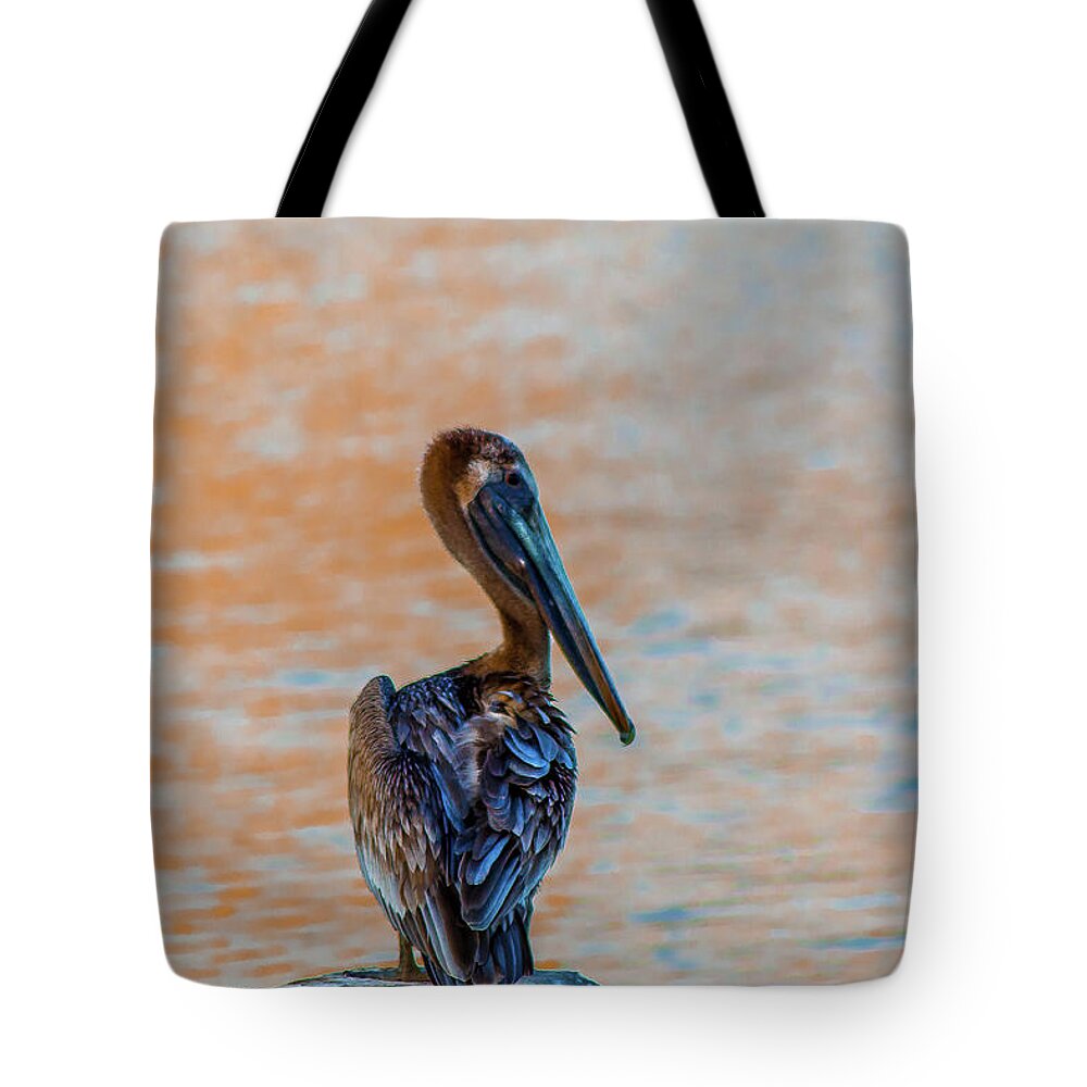Pelican Tote Bag featuring the photograph Days End Pelican by Shannon Harrington