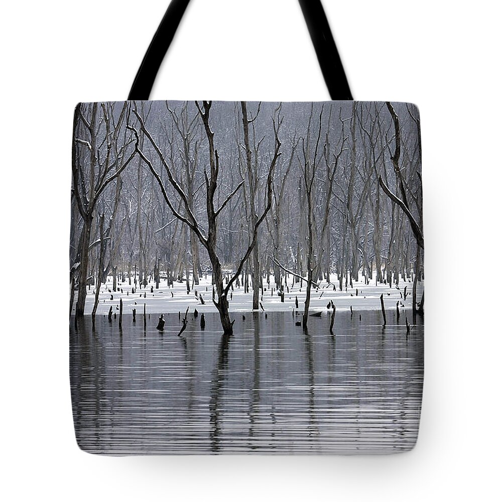  Tote Bag featuring the photograph Dead of Winter by Dennis Hedberg