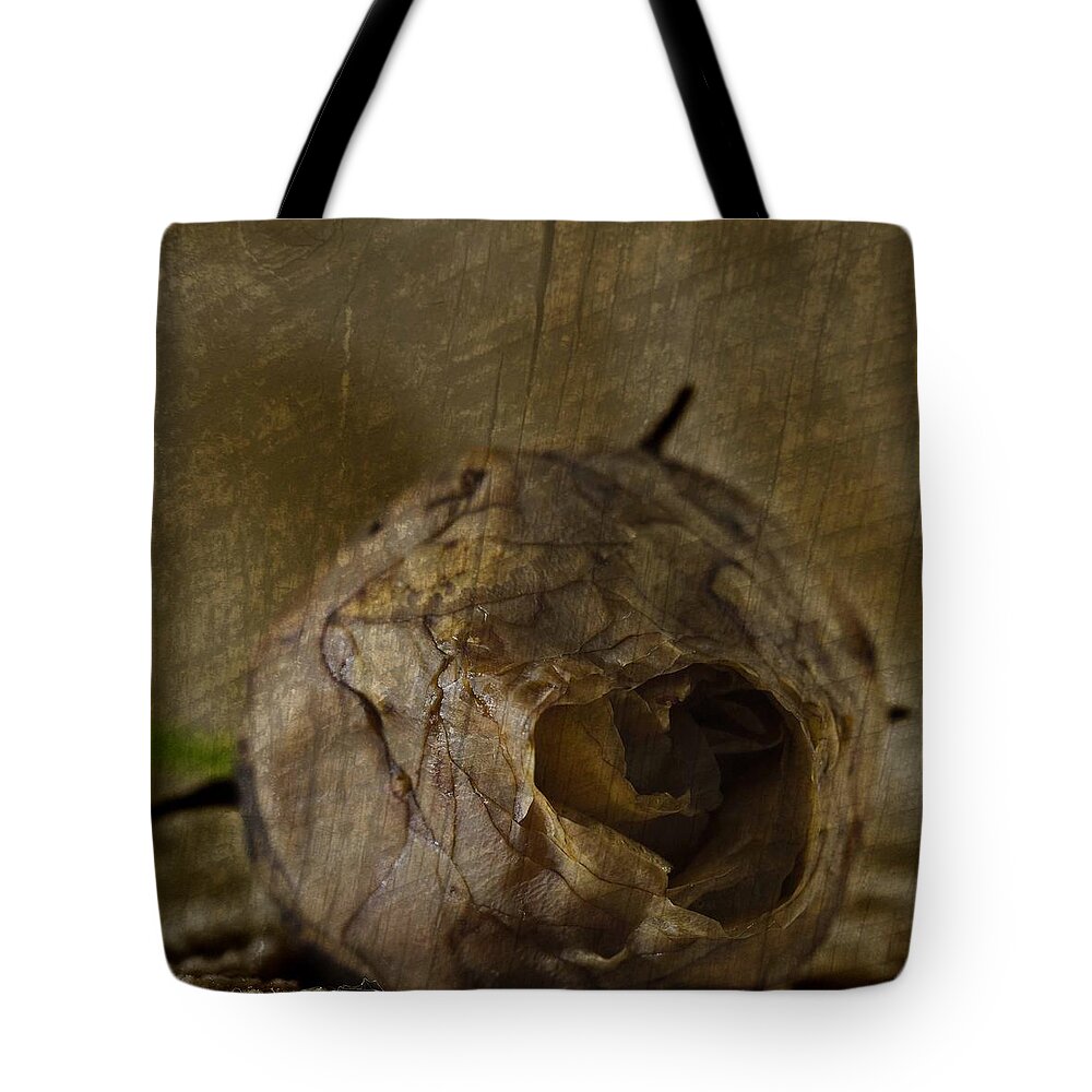 Rosebud Tote Bag featuring the photograph Dead Rosebud by Steve Purnell