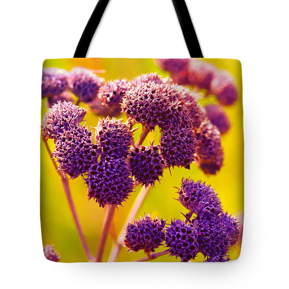 Macro Tote Bag featuring the photograph Dead Weed on Lime by Bill and Linda Tiepelman