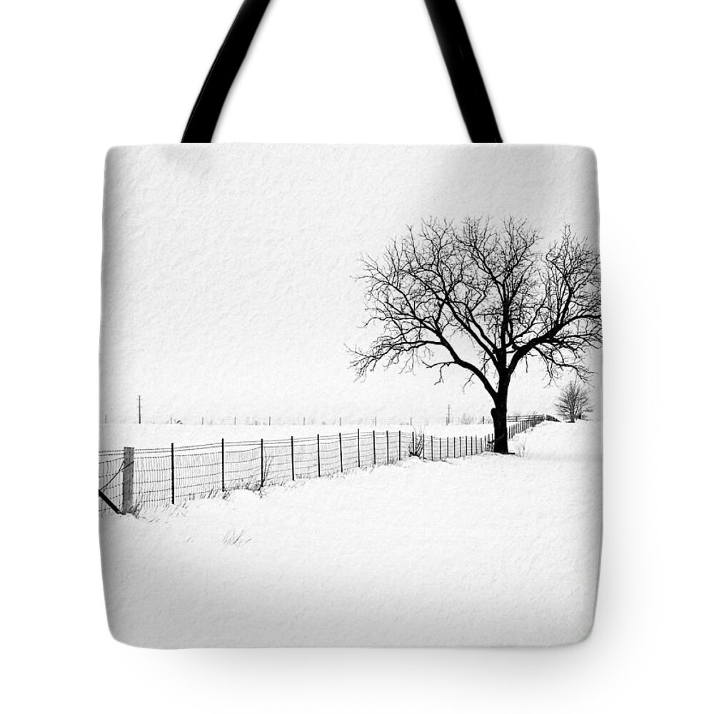 Black And White Photography Tote Bag featuring the photograph December by Sue Stefanowicz