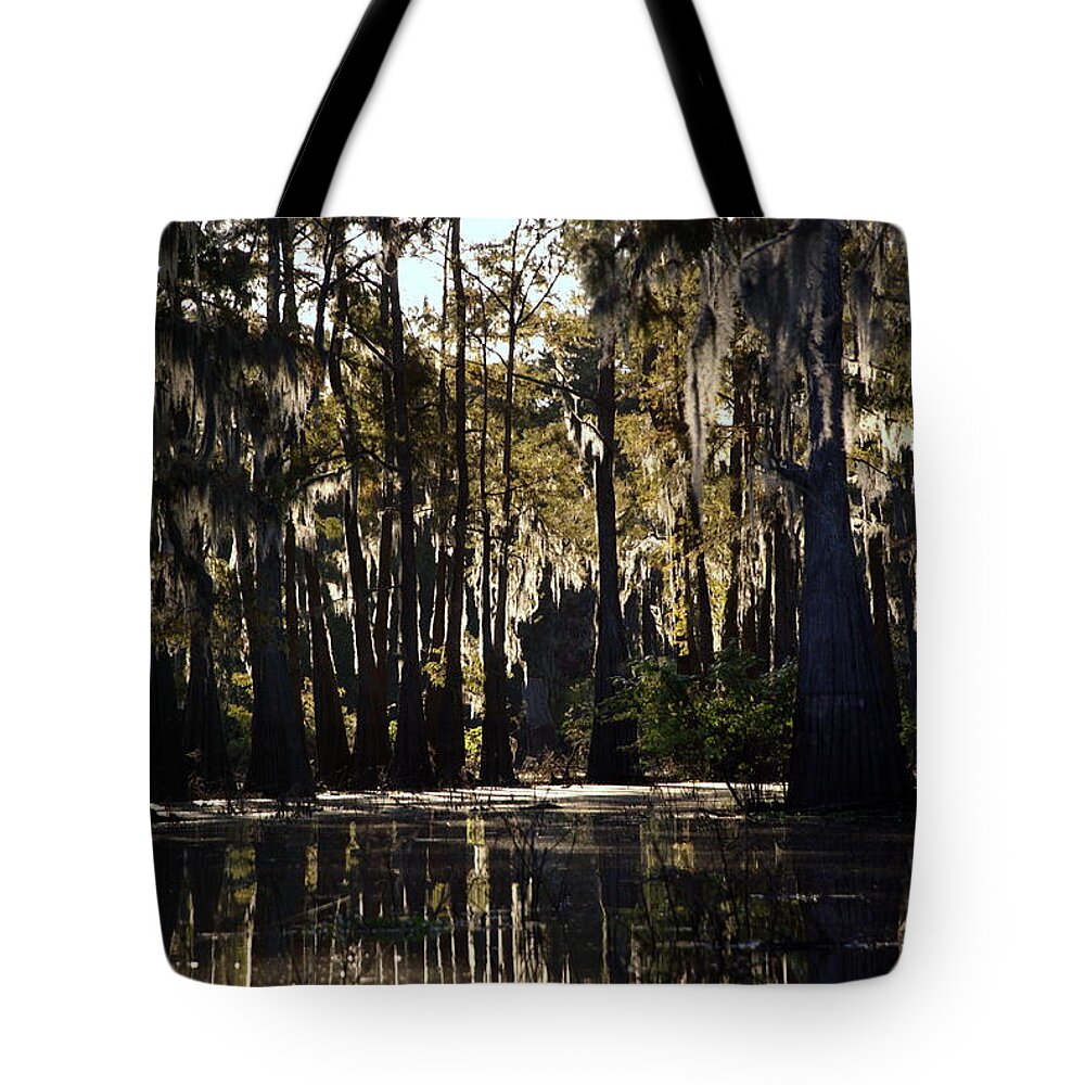 Swamp Tote Bag featuring the photograph Deep Swamp by Ron Weathers