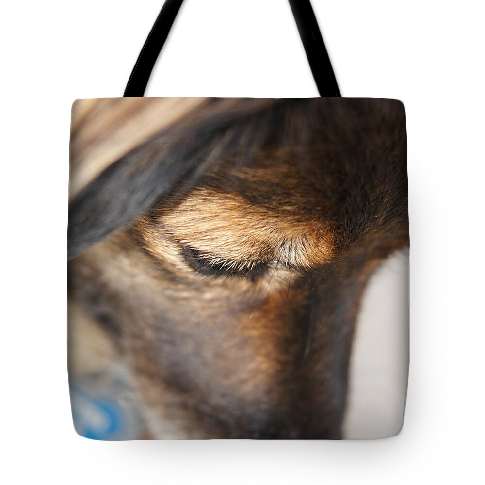 Dog Tote Bag featuring the photograph Deep Thought by Megan Cohen