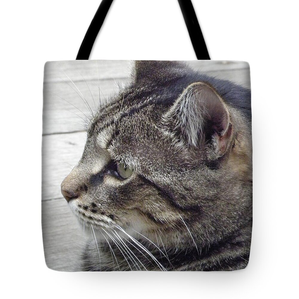 Trance Tote Bag featuring the photograph Deep Trance by Kim Galluzzo
