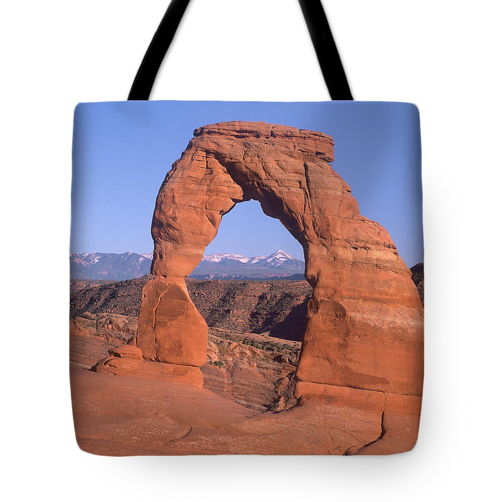 00175751 Tote Bag featuring the photograph Delicate Arch And La Sal Mountains by Tim Fitzharris