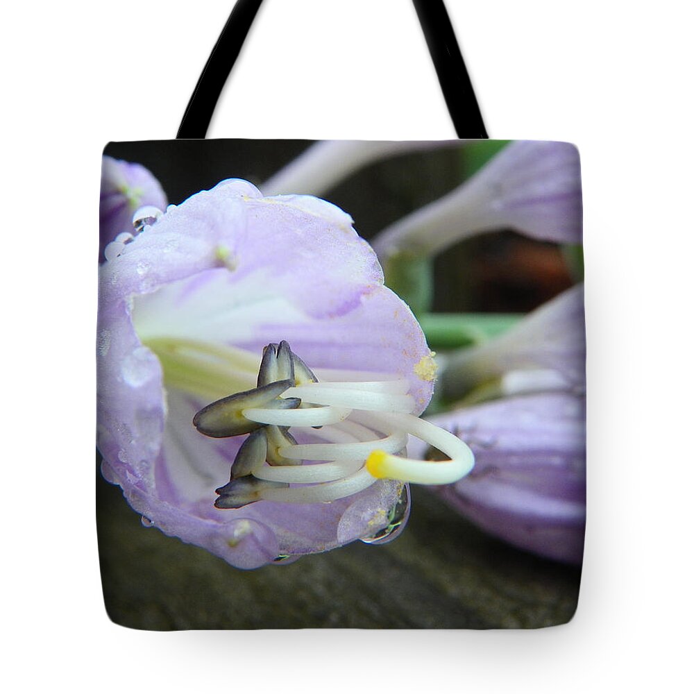 Flower Tote Bag featuring the photograph Delicate beauty by Chad and Stacey Hall