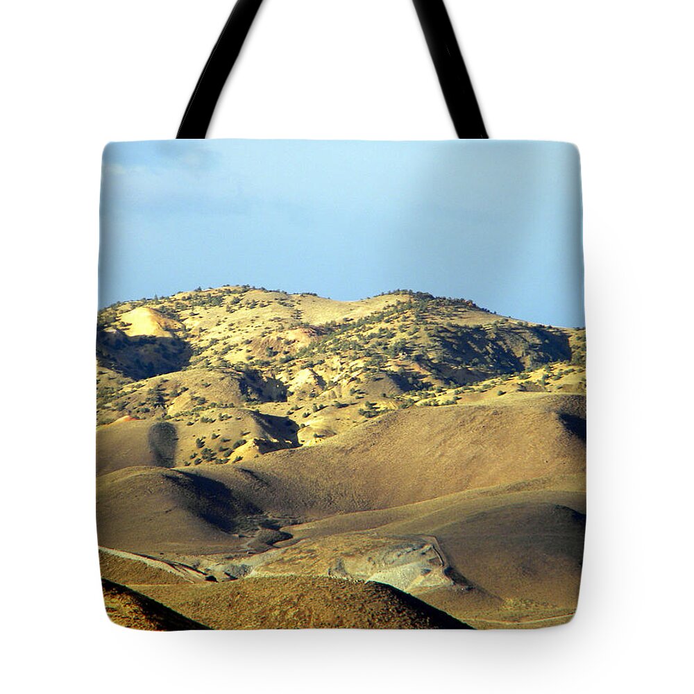  Frank Wilson Tote Bag featuring the photograph Desert heights West Of Reno Nevada by Frank Wilson