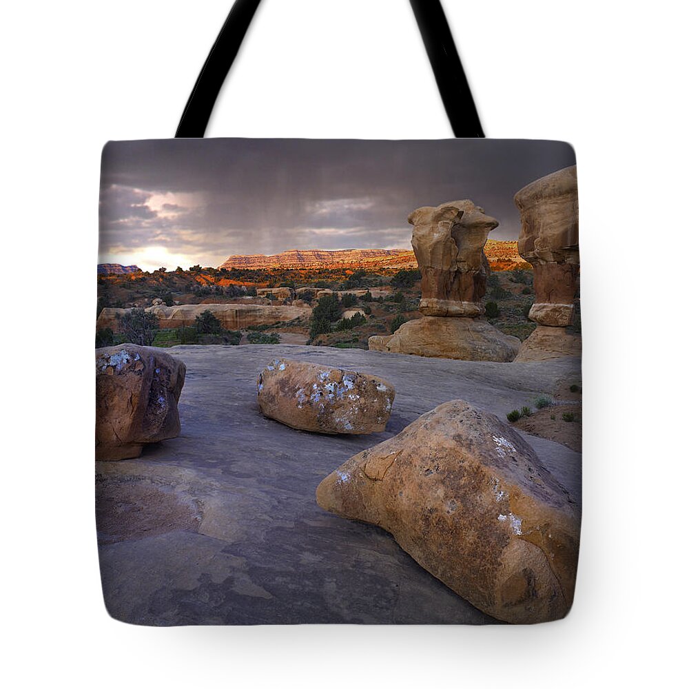 00175255 Tote Bag featuring the photograph Devils Garden Sandstone Formations by Tim Fitzharris