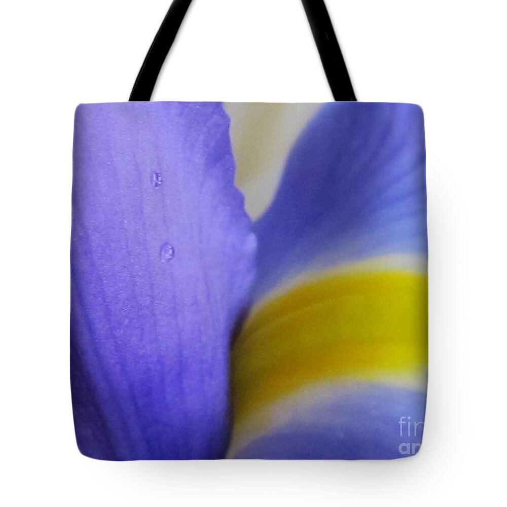 Nature Tote Bag featuring the photograph Dew Drop by Arlene Carmel
