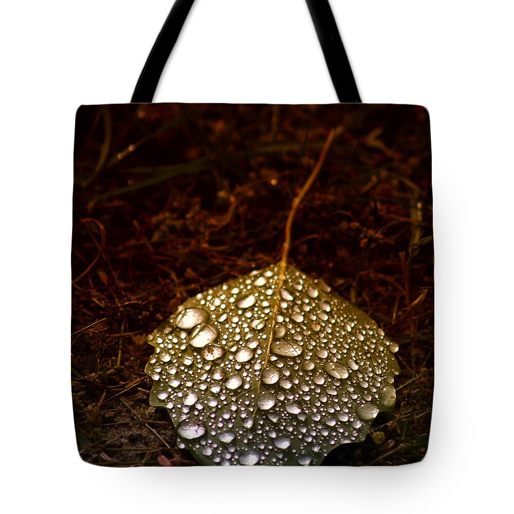 Dew Tote Bag featuring the photograph Dewdrops by Terry Doyle