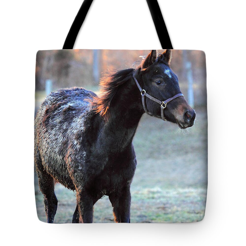  Tote Bag featuring the photograph 'Diamond in the Rough' by PJQandFriends Photography