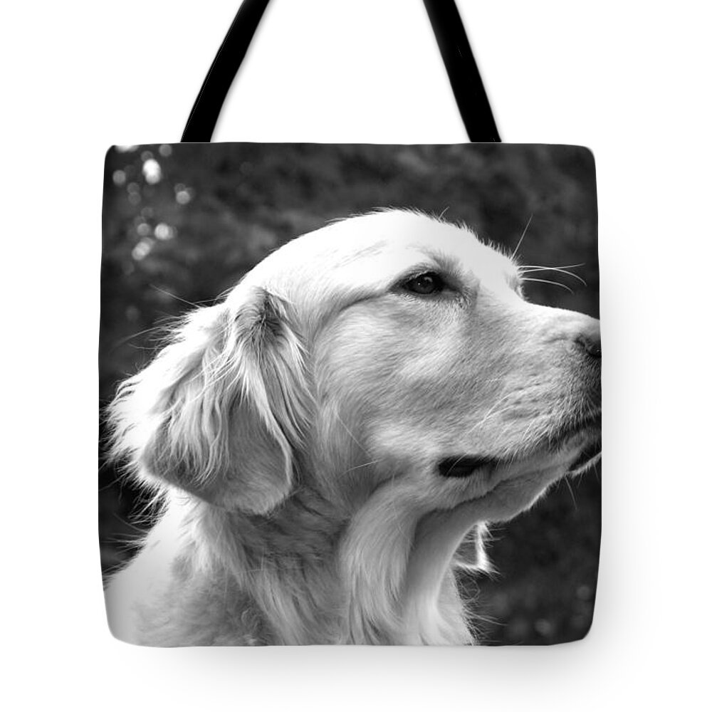 Dog Tote Bag featuring the photograph Dog black and white portrait by Sumit Mehndiratta